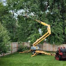 Best Lawn Pest Prevention  in Palermo, NJ